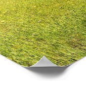 Poster Terrain Larkspur, clôture (Coin)