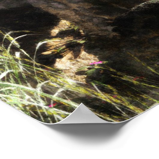 Poster Terrain perdu (Coin)