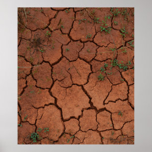 Poster terrain sec et fissuré
