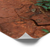 Poster terrain sec et fissuré (Coin)