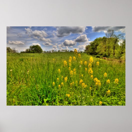 Poster Terrain vert et ciel bleu nuageux (Devant)
