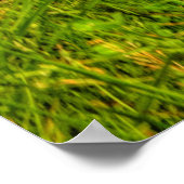 Poster Terrain vert et ciel bleu nuageux (Coin)