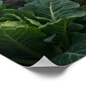 Poster Terrasse Broccoli Bear (Coin)