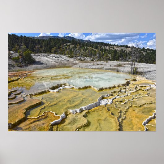 Poster Terrasse inférieure de Minerva, parc national de Y (Devant)