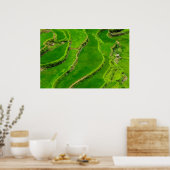 Poster Terrasses de riz (Cuisine)