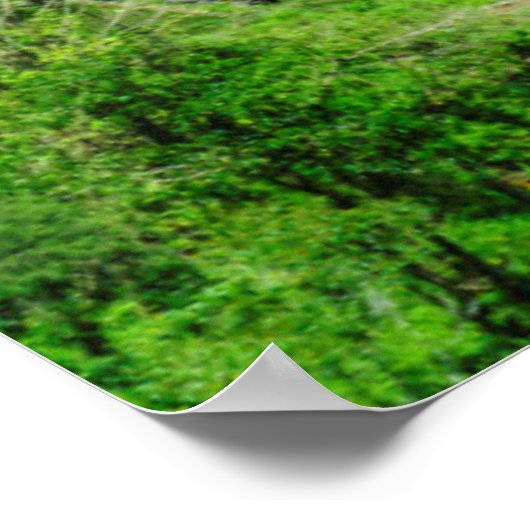 Poster Terrasses de riz vert, Philippines (Coin)