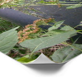 Poster Terre de 10 000 lacs (Coin)