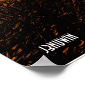 Poster Terre de Barren (Coin)