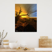 Poster Terre de Barren (Cuisine)