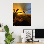 Poster Terre de Barren (Bureau à domicile)