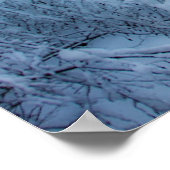 Poster Terre Des Elfes (Coin)