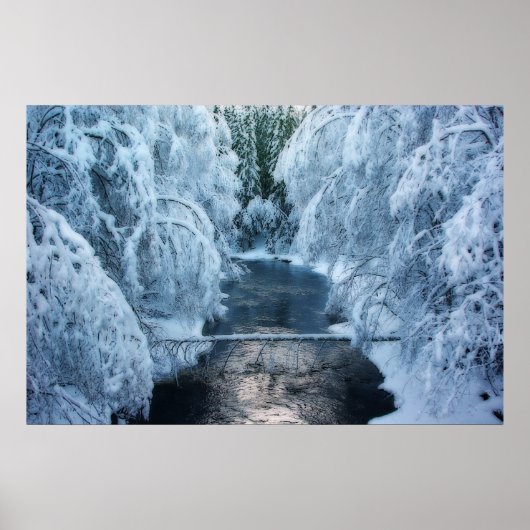 Poster Terre Des Elfes (Devant)