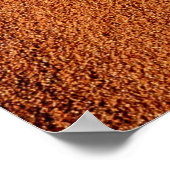 Poster Terre désertique (Coin)