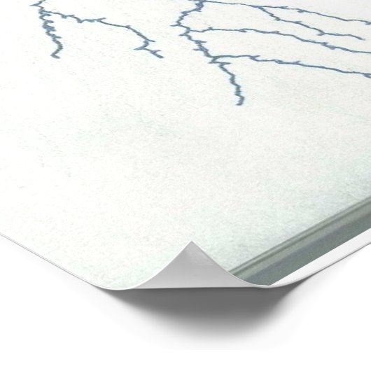 Poster Terre mère (Coin)