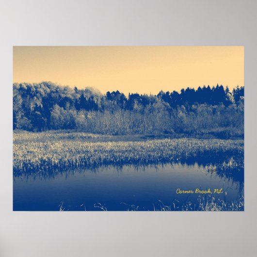 Poster Terre-Neuve, Canada, Marshlands Arbres et Eaux (Devant)