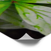 Poster Terre verte, (Coin)