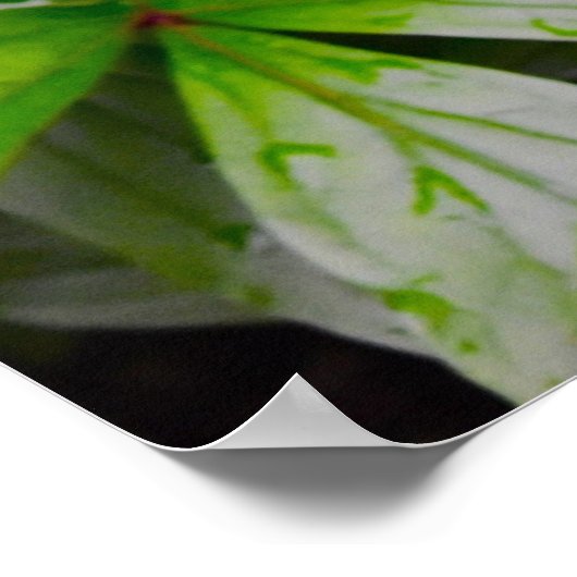 Poster Terre verte, (Coin)