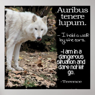 POSTER TERRENCE LATIN DE CITATION DE LOUP