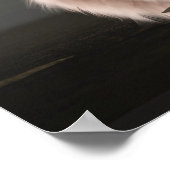 Poster Terres (Coin)