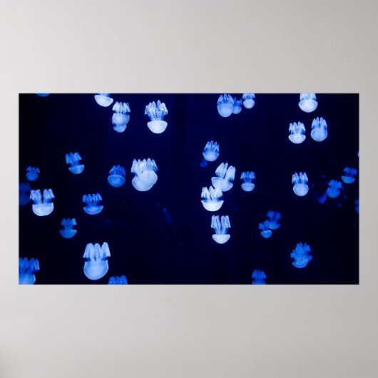 POSTER TERRES LUMINEUSES (Devant)