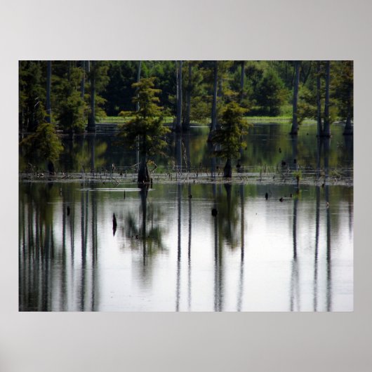 Poster Terres marécageuses (Devant)