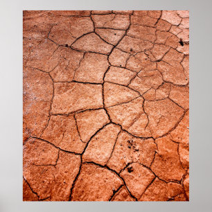 Poster Terres séchées