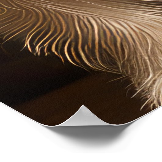 Poster Terrier australien près du feu Noël (Coin)