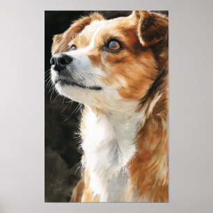 Poster Térrier chihuahua race mixte de chien en gros plan