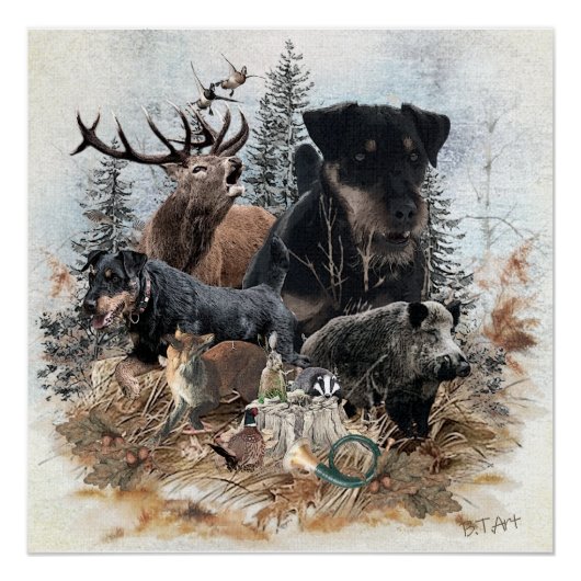 Poster Terrier de chasse allemand (Jagdterrier) (Devant)