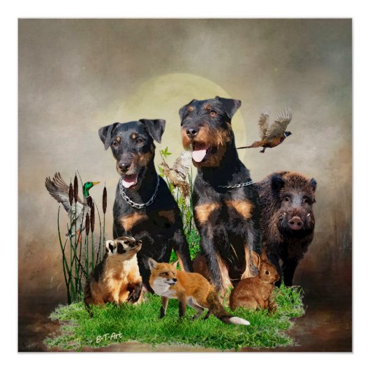 Poster Terrier de chasse allemand (Jagdterrier) (Devant)