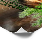 Poster Terrier de chasse allemand (Jagdterrier) (Coin)