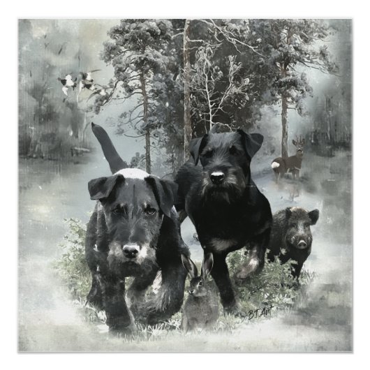 Poster Terrier de chasse allemand, Le Jagdterrier, Art (Devant)