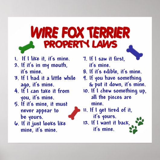 POSTER TERRIER DE FICHIER FOX PL2 (Devant)
