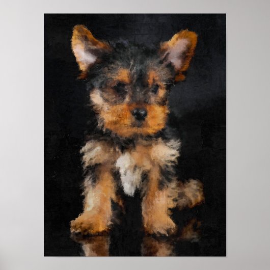 Poster Terrier du Yorkshire (Devant)