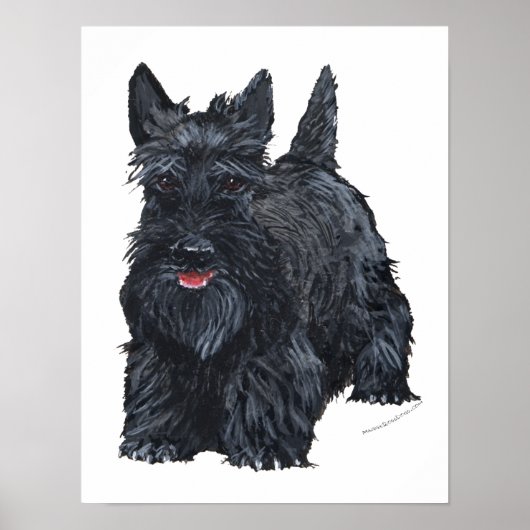 Poster Terrier Écossais joueur (Devant)