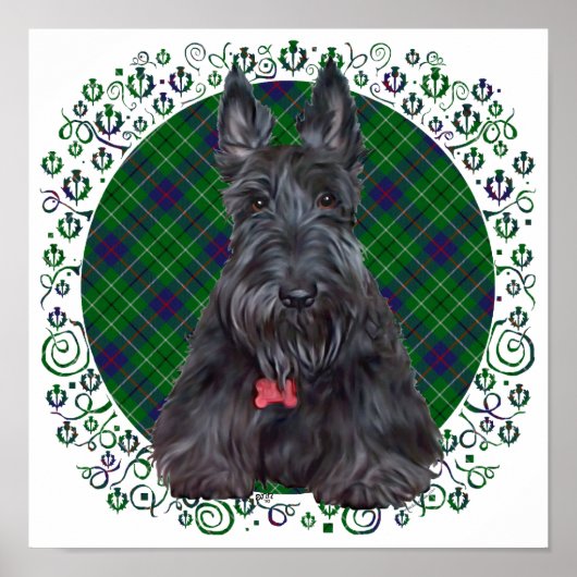Poster Terrier Écossais sur Tartan (Devant)