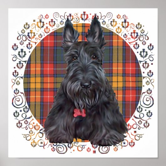 Poster Terrier Écossais sur Tartan (Devant)