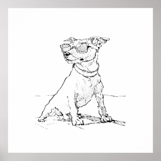 Poster Terrier Jack Russell (Devant)