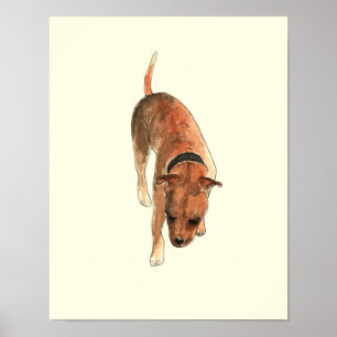 Poster Terrier Staffordshire Bull Terrier amusant - Art c