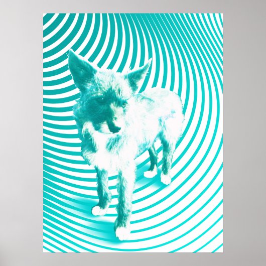 Poster Terrier turquoise (Devant)