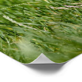 Poster Terrier Yorkshire mignon Traversant L'Herbe (Coin)