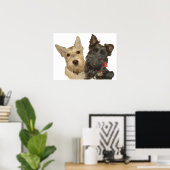 Poster Térriers écossais roux et noirs (Bureau à domicile)