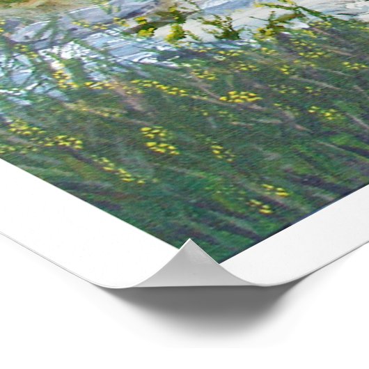 Poster Terriers en Irlande (Coin)