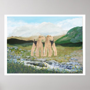 Poster Terriers en Irlande