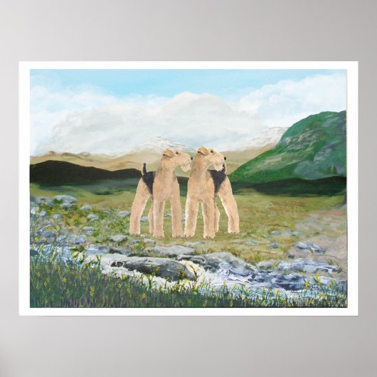 Poster Terriers en Irlande (Devant)