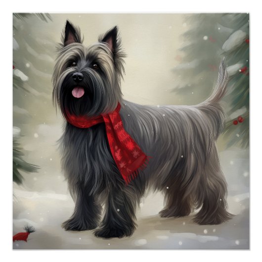 Poster Tervueren dans la neige de Noël (Devant)