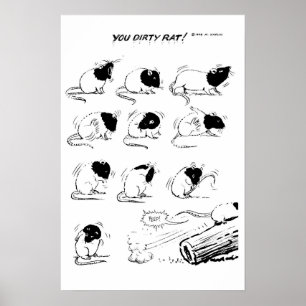 Poster T'Es Sale Rat !