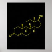 Poster Testostérone Molecule Biologie Science Constructio (Devant)