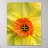 Poster Tête (Devant)