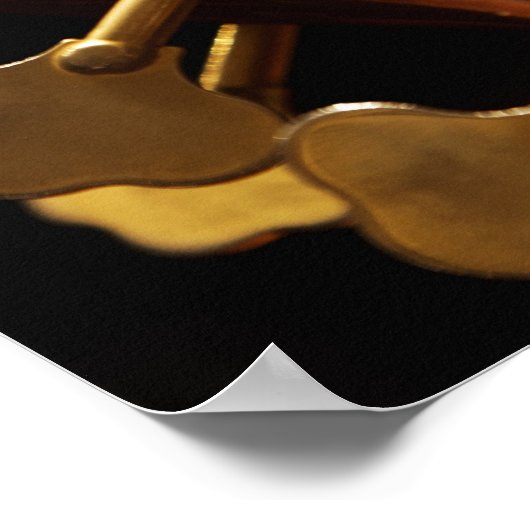 Poster Tête de basse double 2 (Coin)